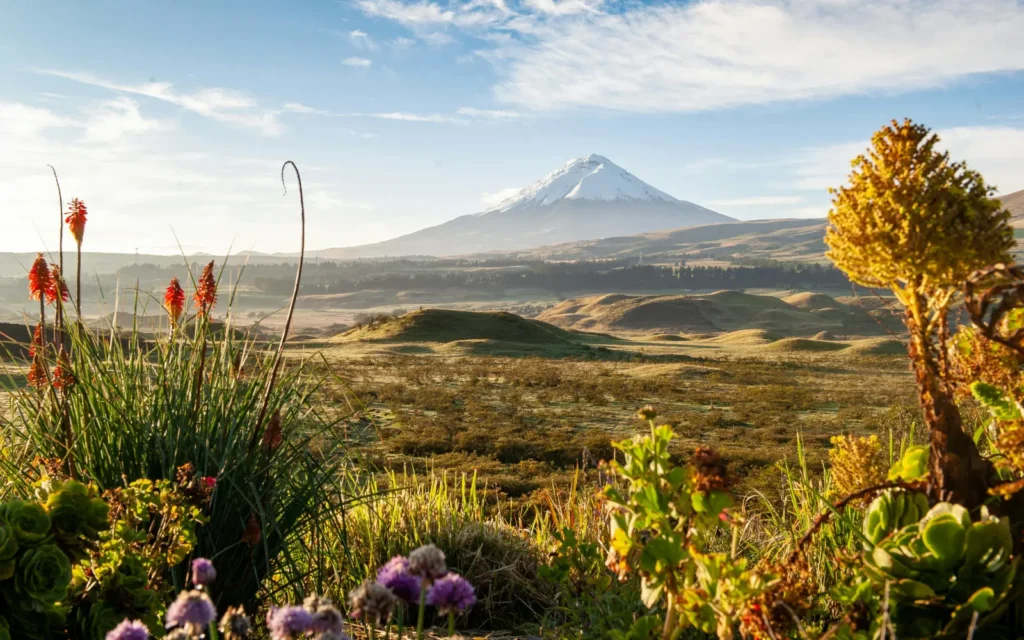 Viaje privado turistas Ecuador
