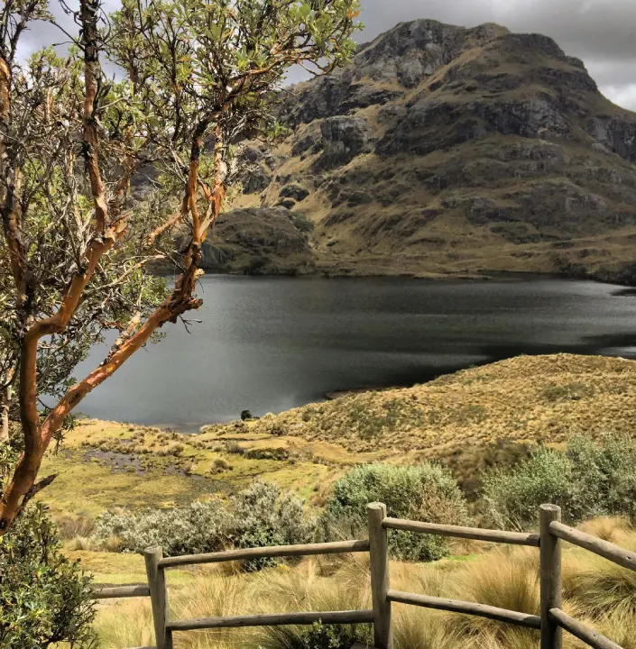 Parque nacional Cajas , transporte turístico